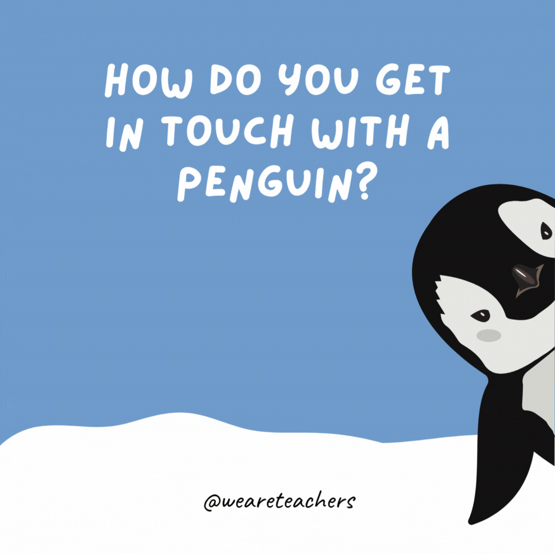 How do you get in touch with a penguin? Give him a wing. How do you get in touch with a penguin? Give him a wing.- penguin jokes