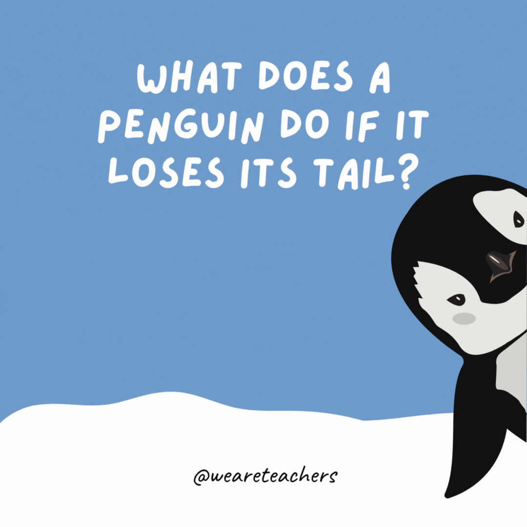 What does a penguin do if it loses its tail? It goes to a re-tail store. What does a penguin do if it loses its tail? It goes to a re-tail store.- penguin jokes