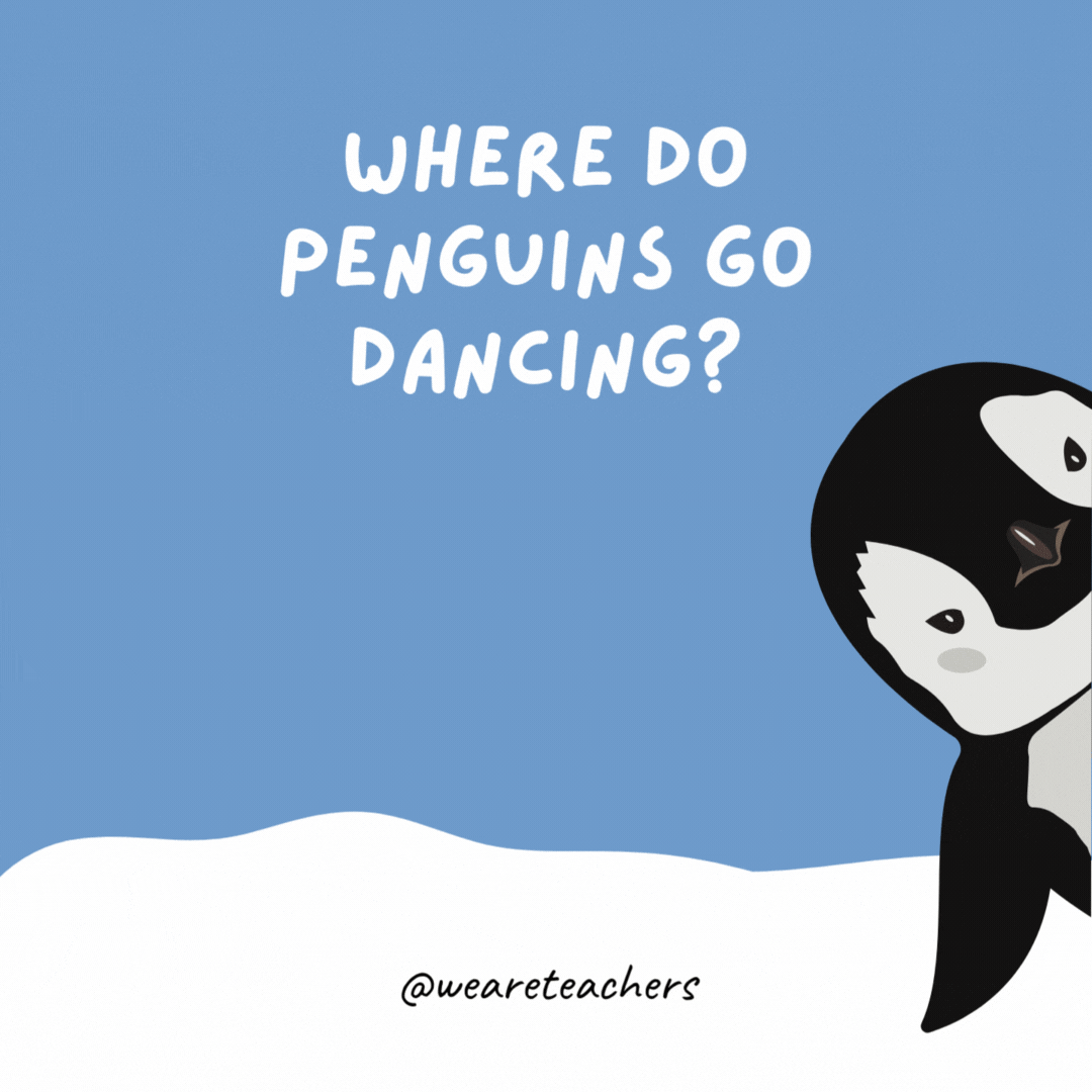 Where do penguins go dancing? The Snow Ball. Where do penguins go dancing?
The Snow Ball.