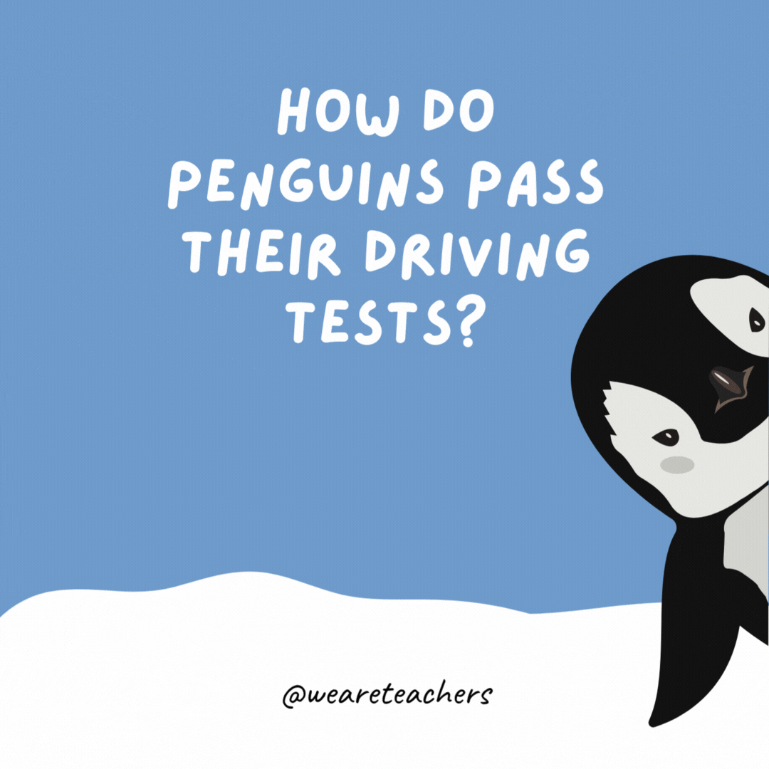 How do penguins pass their driving tests? They wing it. How do penguins pass their driving tests? They wing it.- penguin jokes