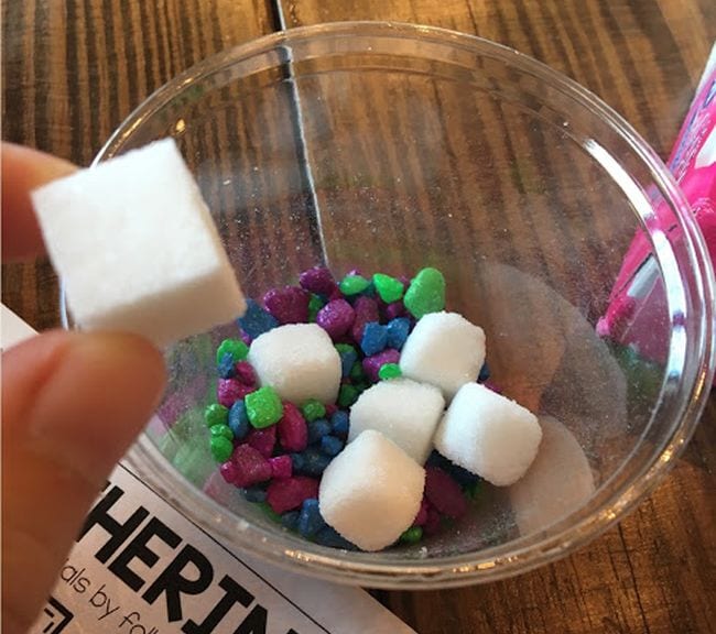 Candy Erosion Experiment Plastic cup holding sugar cubes and smaller candies