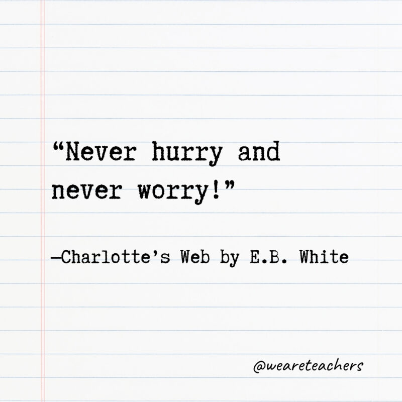 Never hurry and never worry! Never hurry and never worry!