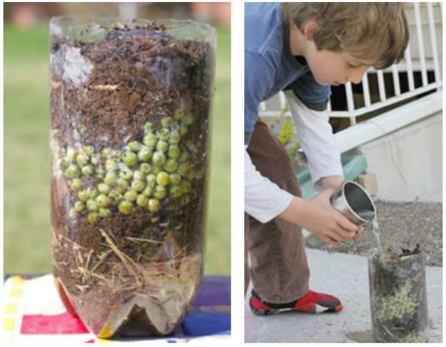 3rd Grade Science Busy Mommy Media Compost bin built in a two liter soda bottle, with child pouring water into it
