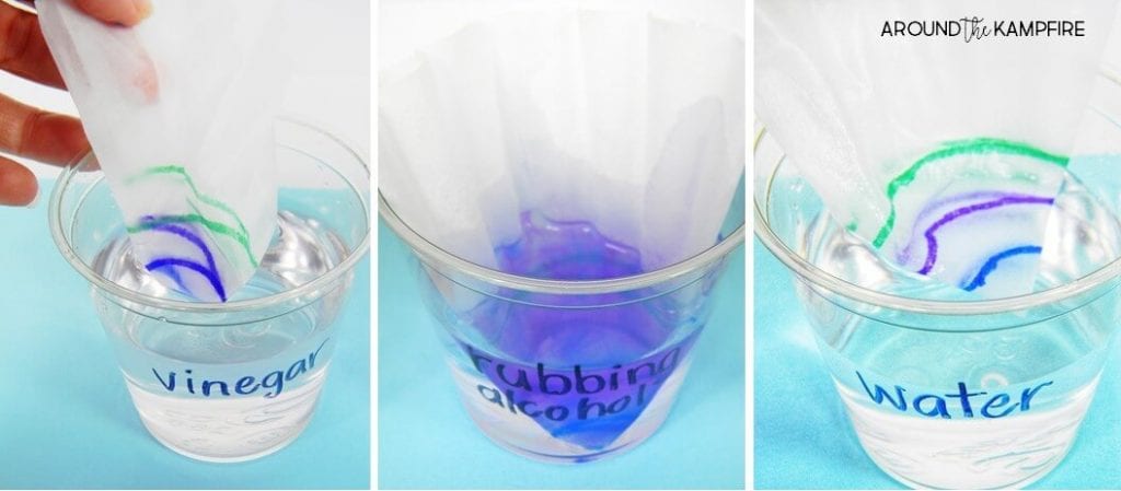 4th Grade Science Around the Kampfire Coffee filters colored with marker, dipped into vinegar, rubbing alcohol, and water