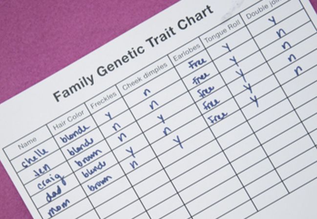 5th Grade Science Genetics Educationcom Worksheet labeled Family Genetic Trait Chart
