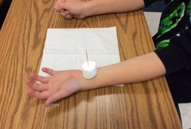 5th Grade Science Growing Grade by Grade Fifth grade science student with a marshmallow with a toothpick resting on their upturned wrist