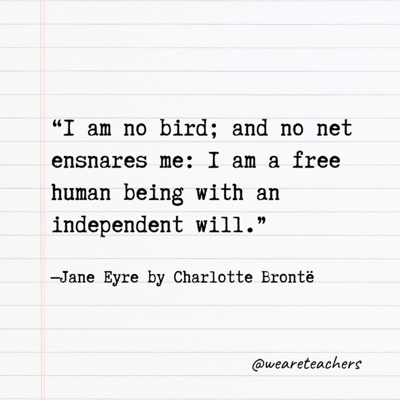 I am no bird; and no net ensnares me: I am a free human being with an independent will. I am no bird; and no net ensnares me: I am a free human being with an independent will.- Quotes from books