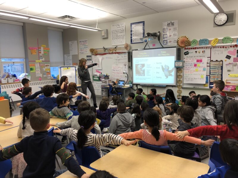 The nocturnals book in the classroom