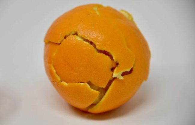 Fifth Grade Science: Orange Tectonics Orange that's been peeled and reassembled