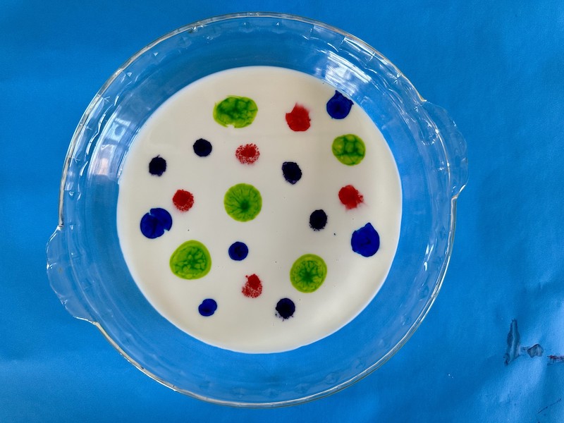 Food-coloring-drops Food coloring drops on surface of milk for science experiment