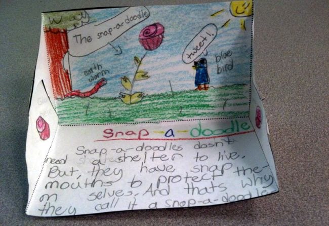 Fourth Grade Science Create a Plant Science project showing an imaginary plant called a Snap-a-Doodle