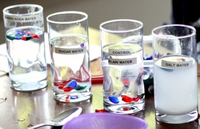 Fourth Grade Science Salt Water Density Series of glasses filled with liquid labeled baking soda water, sugar water, control plain water, and salt water, with red and blue objects floating in each