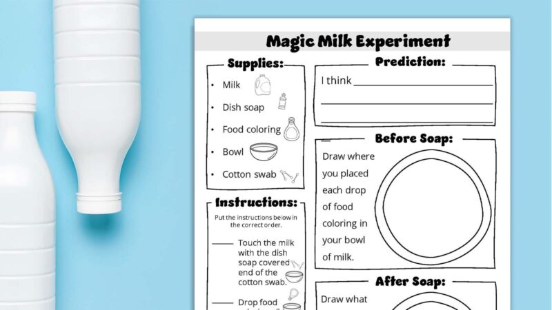 Magic Milk Experiment Recording Sheet