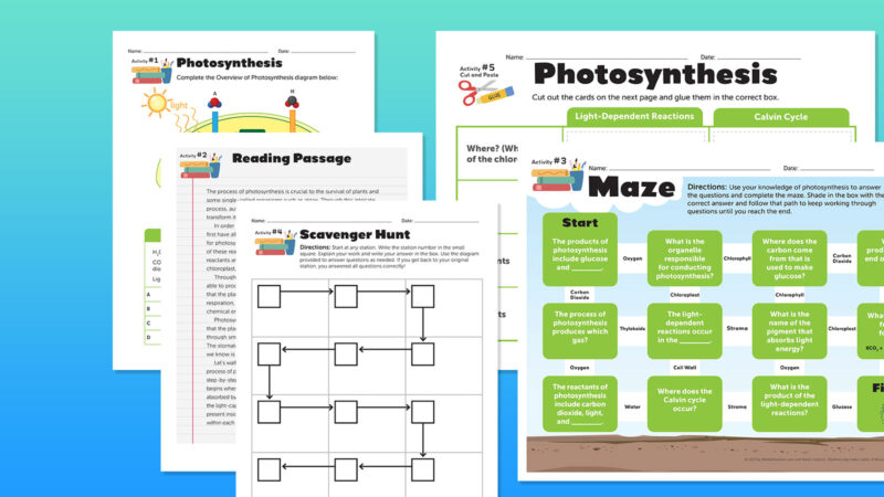 Photosynthesis-flatlay-feature photosynthesis bundle