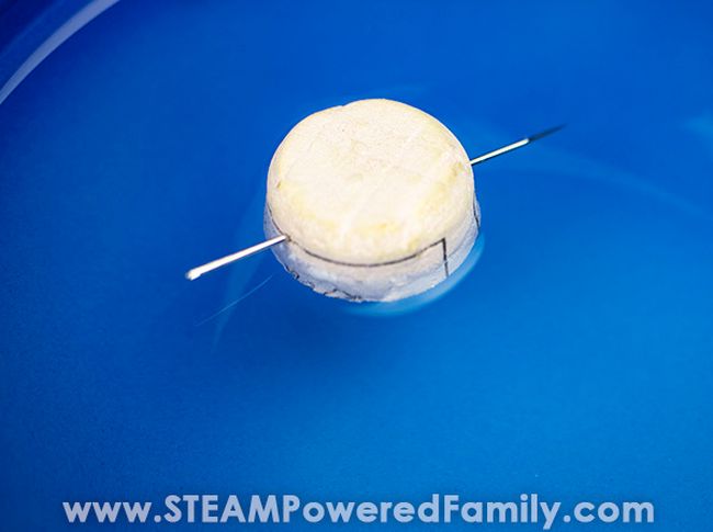 Third Grade Science: DIY Compass DIY compass made from a needle floating in water