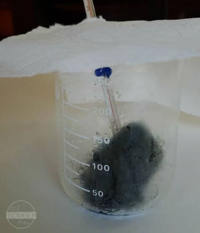 Third Grade Science: Steel Wool Thermal Reaction Steel wool in vinegar in a beaker, with a thermometer (Third Grade Science)